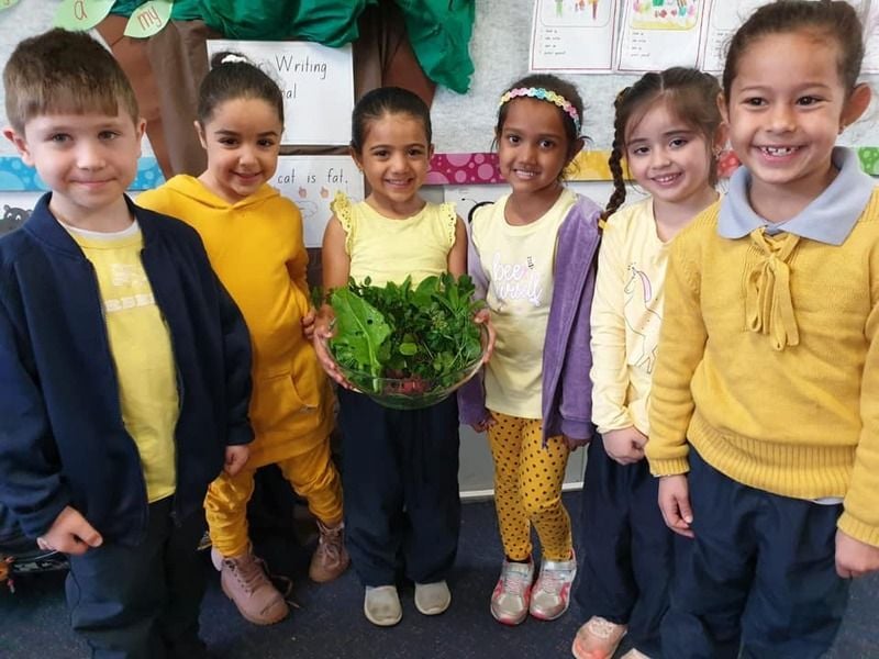 World Bee Day 2019 World Bee Day 2019